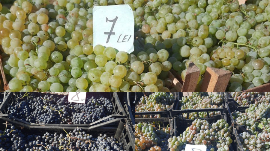 (FOTO) Strugurii pentru vin sunt la mare căutare! De unde să cumperi și cât costă