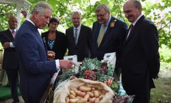 Afacerea din care Regele Charles al III-lea a făcut milioane de dolari