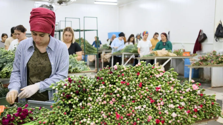 Turcia trimite 13 tone de flori în Marea Britanie pentru funeraliile reginei Elisabeta a II-a