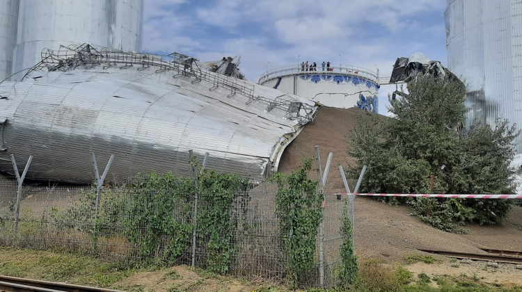 Lovitură pentru regele cerealelor! I s-au prăbușit elevatoarele cu șrot de floarea soarelui