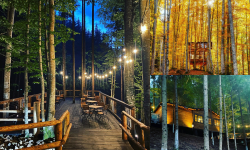 (FOTO) Căsuță în copaci – o nouă atracție în Transfăgărășan. Loc inspirat din povești