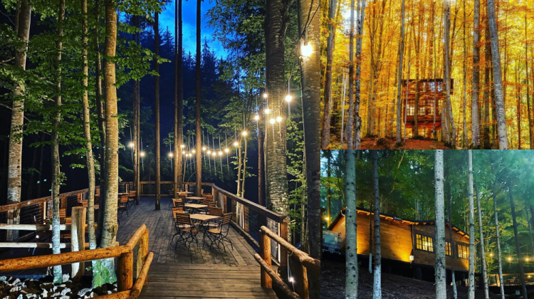 (FOTO) Căsuță în copaci – o nouă atracție în Transfăgărășan. Loc inspirat din povești