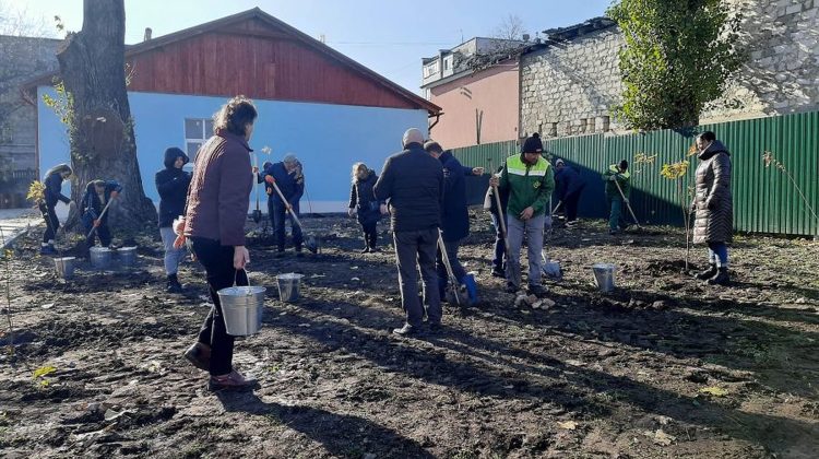VIDEO În plină toamnă, Capitala înverzește! Sute de oameni au participat la Campaniei de plantare a arborilor