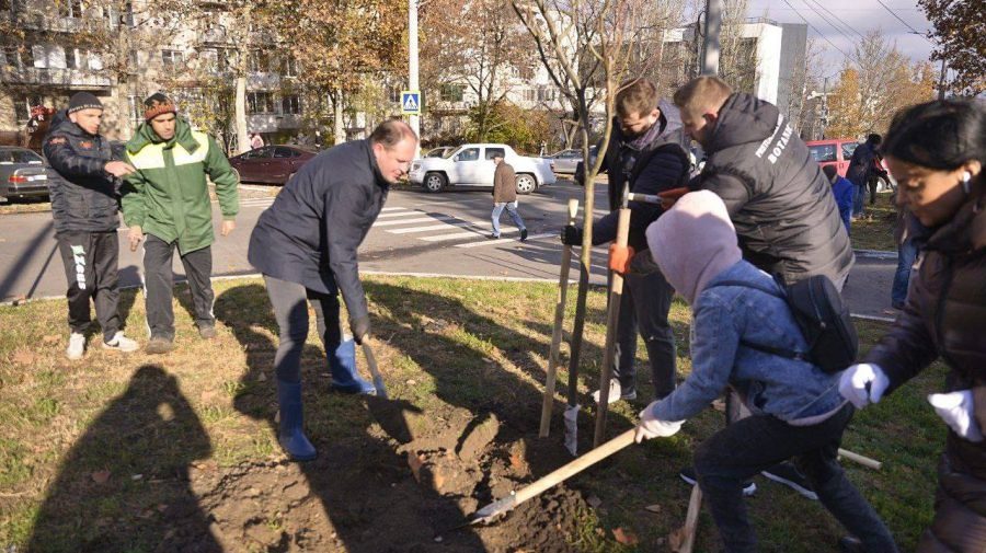 FOTO, VIDEO Și-au unit forțele pentru un oraș mai verde! În Capitală au fost sădiți 4 mii de arbori în doar câteva ore