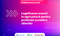 Cum legalizăm munca în agricultură? Soluțiile propuse de Guvern