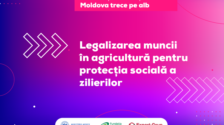 Cum legalizăm munca în agricultură? Soluțiile propuse de Guvern