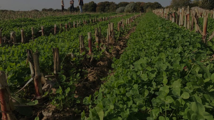 (VIDEO) Un start-up belgian plătește fermierii pentru carbonul captat în pământ