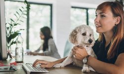 Metoda inedită prin care companiile japoneze își mențin angajații fericiți