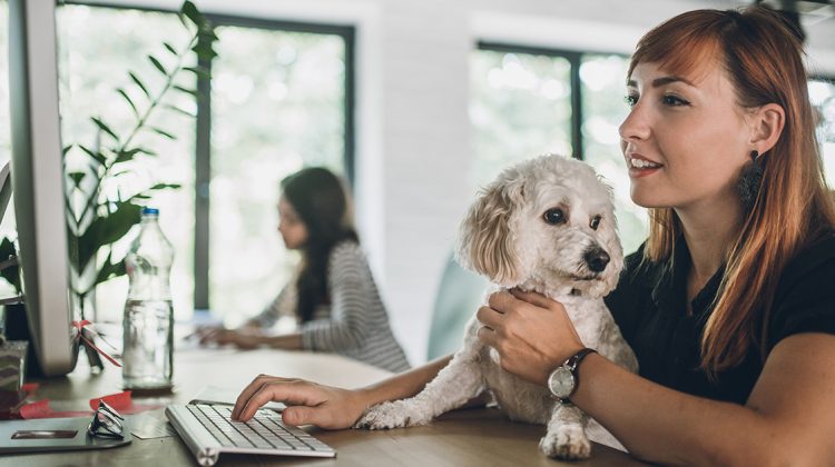 Metoda inedită prin care companiile japoneze își mențin angajații fericiți