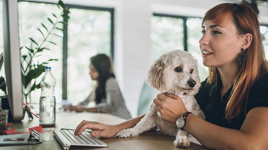 Metoda inedită prin care companiile japoneze își mențin angajații fericiți