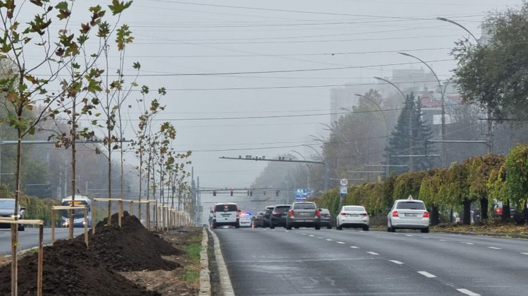 Campania de plantare a arborilor este în plină desfășurare la Chișinău! Lista adreselor unde vor fi sădiți copaci
