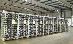 (FOTO) Strugurii din Republica Moldova au ajuns și în Marea Britanie. Câte tone s-au exportat