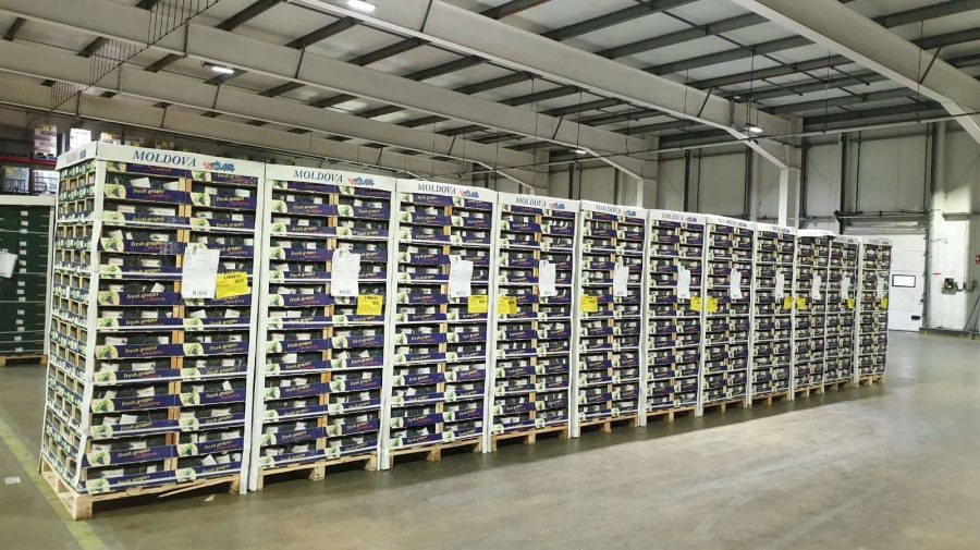 (FOTO) Strugurii din Republica Moldova au ajuns și în Marea Britanie. Câte tone s-au exportat