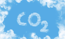 Amazon şi alte companii cumpără credite de carbon de 180 de milioane dolari pentru jungla amazoniană