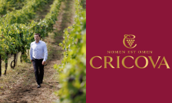 Interviu// Sorin Maslo, director interimar Cricova: Am crescut cifra de afaceri cu 20%. Record de struguri prelucrați