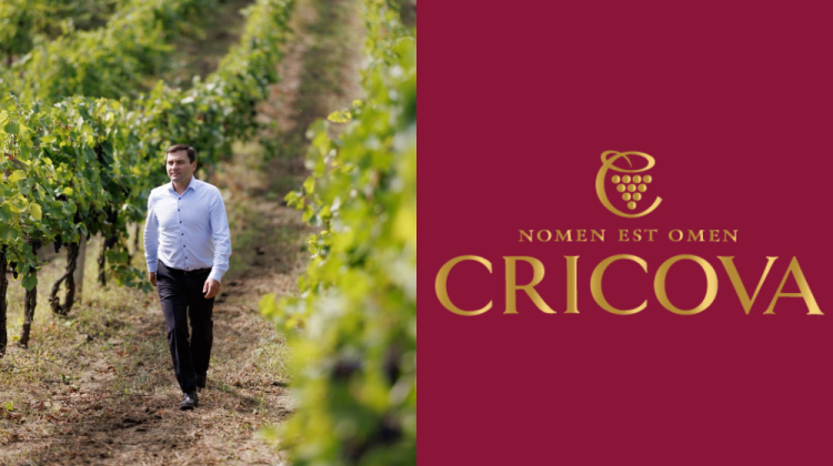 Interviu// Sorin Maslo, director interimar Cricova: Am crescut cifra de afaceri cu 20%. Record de struguri prelucrați