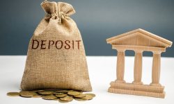 Ponturi financiare de la Anca Dragu! În ce și-ar investi banii șefa de la BNM