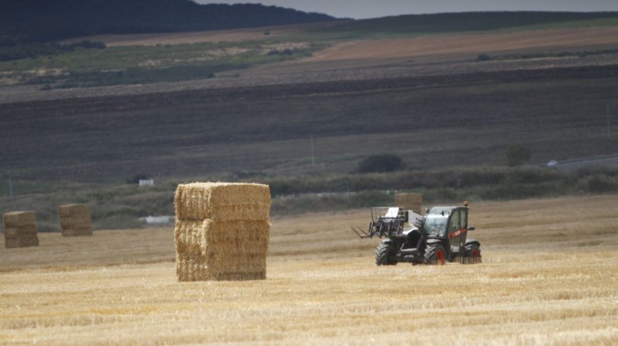 Cel mai mare latifundiar din țara lui Putin! Cultivă o suprafață cât aproape toate terenurile Republicii Moldova