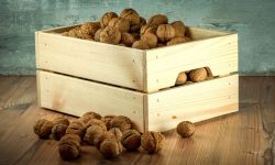 Un sirian și directoarea unei companii de microfinanțare domină piața exporturilor de nuci din Republica Moldova