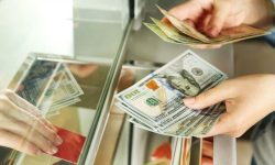 Diaspora a pompat 472 milioane de dolari în Moldova, dar fluxul s-a redus