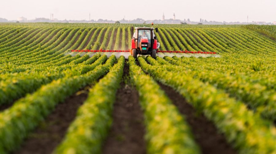 Prețul mediu al unui hectar de teren agricol în UE a ajuns la 25 400 de euro. Cât costă în Moldova