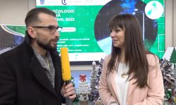 (VIDEO) Brazi hand-made și torbe eco. La Universitatea Pedagogică „Ion Creangă” s-a organizat un târg ecologic