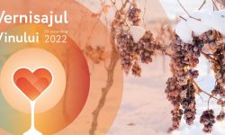 Savurează „Magia Vinului Divin”! Vernisajul Vinului revine în acest an cu o ediție jubiliară!