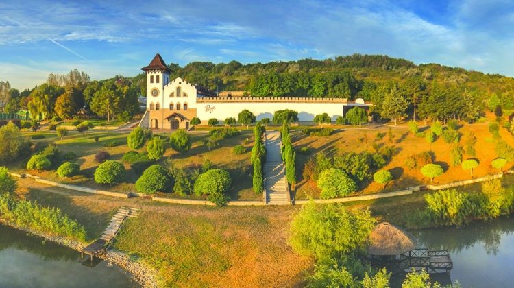 Demisie de răsunet la cel mai mare producător de vin din Republica Moldova