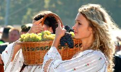 Agenda „POMUL VIEȚII” 2023! Ce evenimente vor fi organizate pentru a promova cultura și potențialul turistic al țării