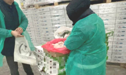 VIDEO de la perchezițiile la companiile importatoare de carne. Au vizat circa 480 tone de marfă congelată