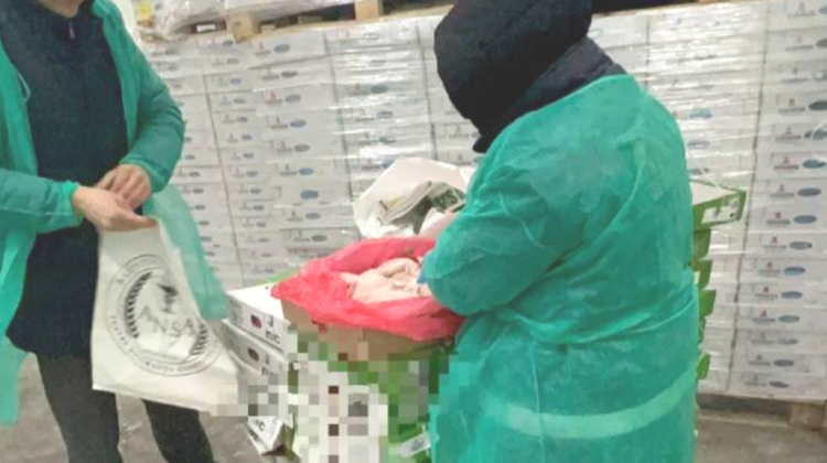 VIDEO de la perchezițiile la companiile importatoare de carne. Au vizat circa 480 tone de marfă congelată