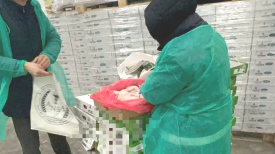 VIDEO de la perchezițiile la companiile importatoare de carne. Au vizat circa 480 tone de marfă congelată