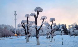 Record la „Polul Nord” al Chinei. Cum se trăiește la -53 de grade în locul în care aerul îți îngheață în plămâni