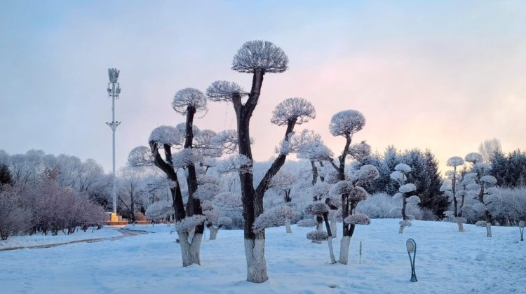 Record la „Polul Nord” al Chinei. Cum se trăiește la -53 de grade în locul în care aerul îți îngheață în plămâni