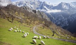 Patru sate din Spania te plătesc să te muți acolo. Câți bani oferă