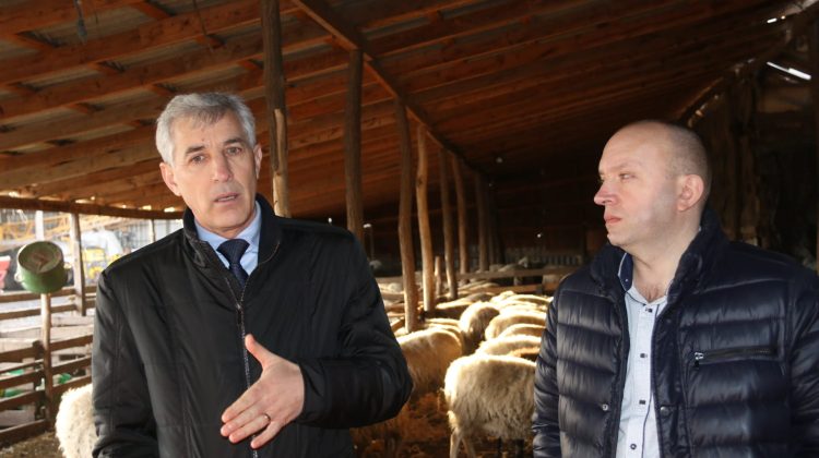 Scripinic a luat berbecul de coarne la Căușeni: Agenții economici pot miza pe suportul consultativ al autorităților