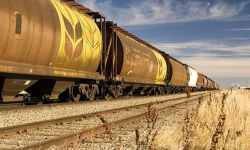 Vagoanele CFM-ului vor ajunge la fier vechi dacă nu sunt cumpărate altele noi. Tofilat: Nu vom putea transporta marfă