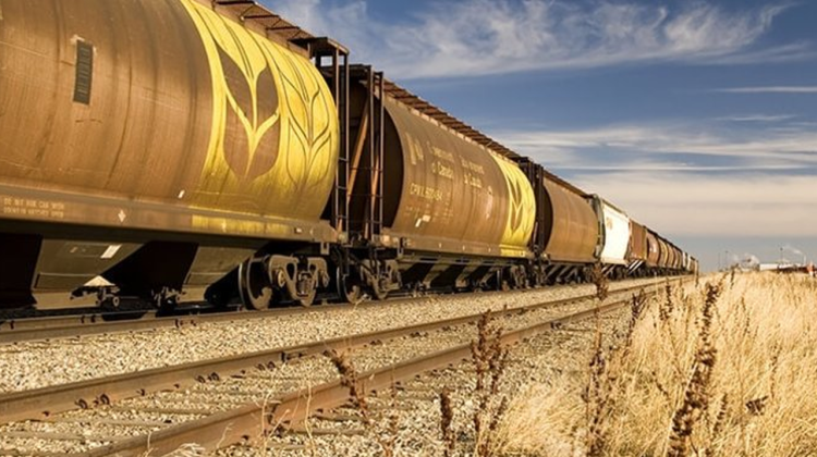 Vagoanele CFM-ului vor ajunge la fier vechi dacă nu sunt cumpărate altele noi. Tofilat: Nu vom putea transporta marfă