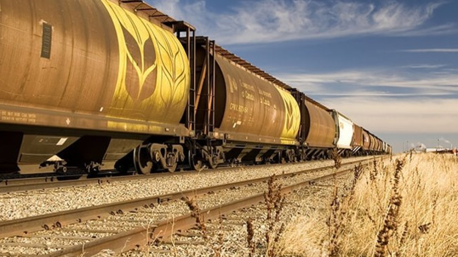 Vagoanele CFM-ului vor ajunge la fier vechi dacă nu sunt cumpărate altele noi. Tofilat: Nu vom putea transporta marfă