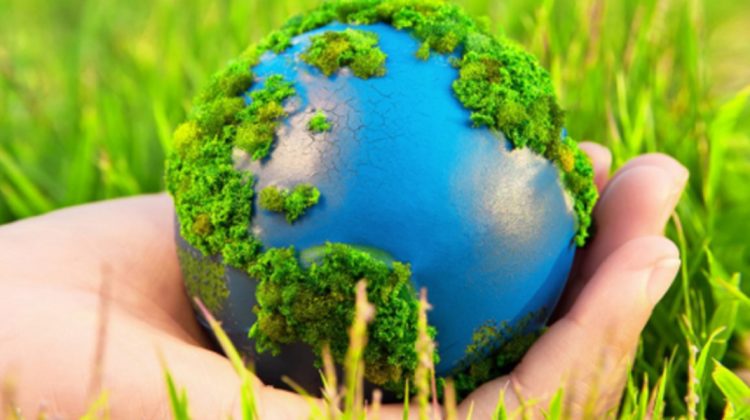 Cine luptă pentru a obține o schimbare a sistemului de taxe de poluare?