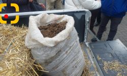 FOTO Surpriza cu care au venit fermierii nemulțumiți sub geamul lui Recean! Saci cu bălegar