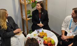 Succes remarcabil pentru exporturile de mere moldovenești în Suedia