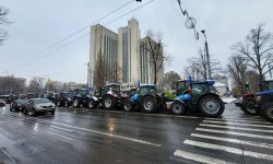 Fermierii se simt trași pe sfoară de Guvern! Băncile refuză să le acorde credite