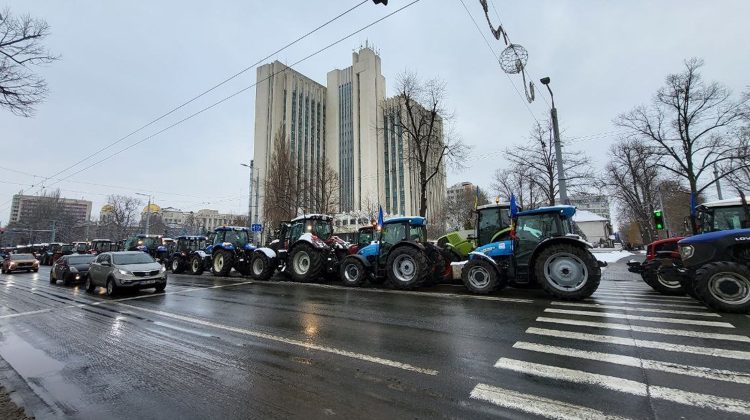 Fermierii se simt trași pe sfoară de Guvern! Băncile refuză să le acorde credite