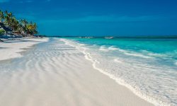 Tanzania, comoara ascunsă a Africii, căutată de moldoveni