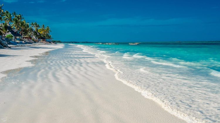 Tanzania, comoara ascunsă a Africii, căutată de moldoveni