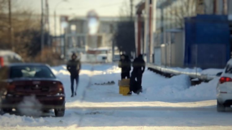 Contrabandă cu „aur alb”! Droguri de 20 de milioane de lei confiscate de vameși