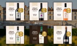 6 medalii de Aur şi Dublu Aur în Franţa pentru vinurile din soiuri autohtone produse de Castel Mimi