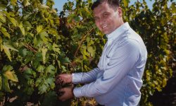 Combinatul de Vinuri „Cricova” a făcut investiții de 15 mln. lei anul trecut. Iată despre ce e vorba!