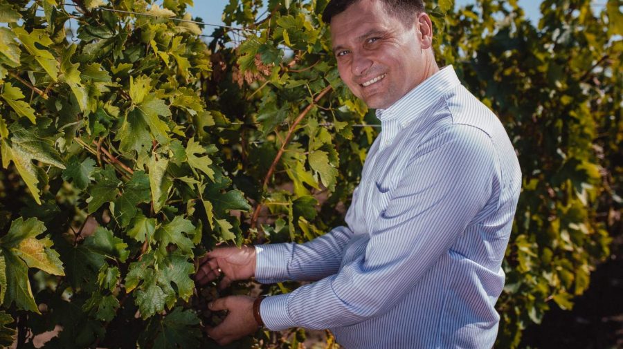 Combinatul de Vinuri „Cricova” a făcut investiții de 15 mln. lei anul trecut. Iată despre ce e vorba!